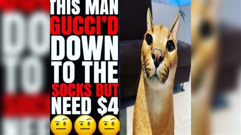 gucci down to socks meme.